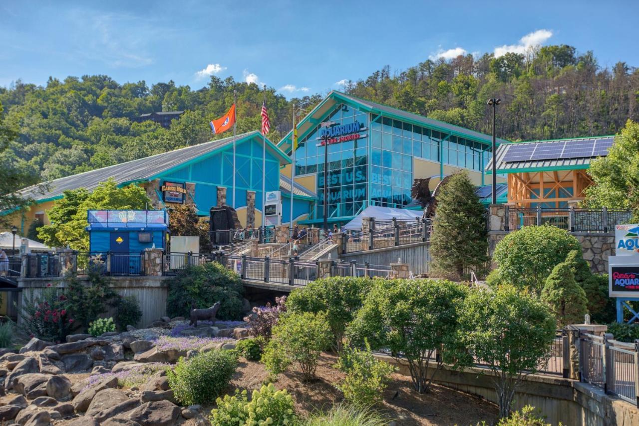 5Bd5B Escape Cabin With 2 Hottubs, Thtr &Game Rm,1Mi To The Parkway! 4Mi To Dollywood - Spring Deal بيدجن فورج المظهر الخارجي الصورة